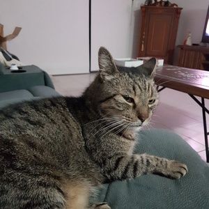 Meet your Posher, Tracey